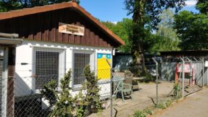 Zu Besuch im: Tierheim Tiegen