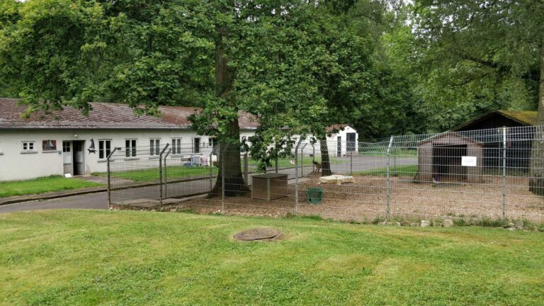 Zu Besuch im: Tierheim Limburg