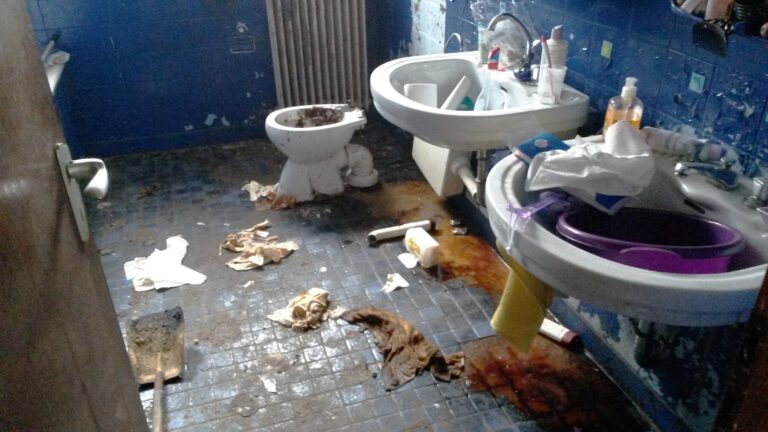 Messie Syndrom spezial: Animal Hoarding